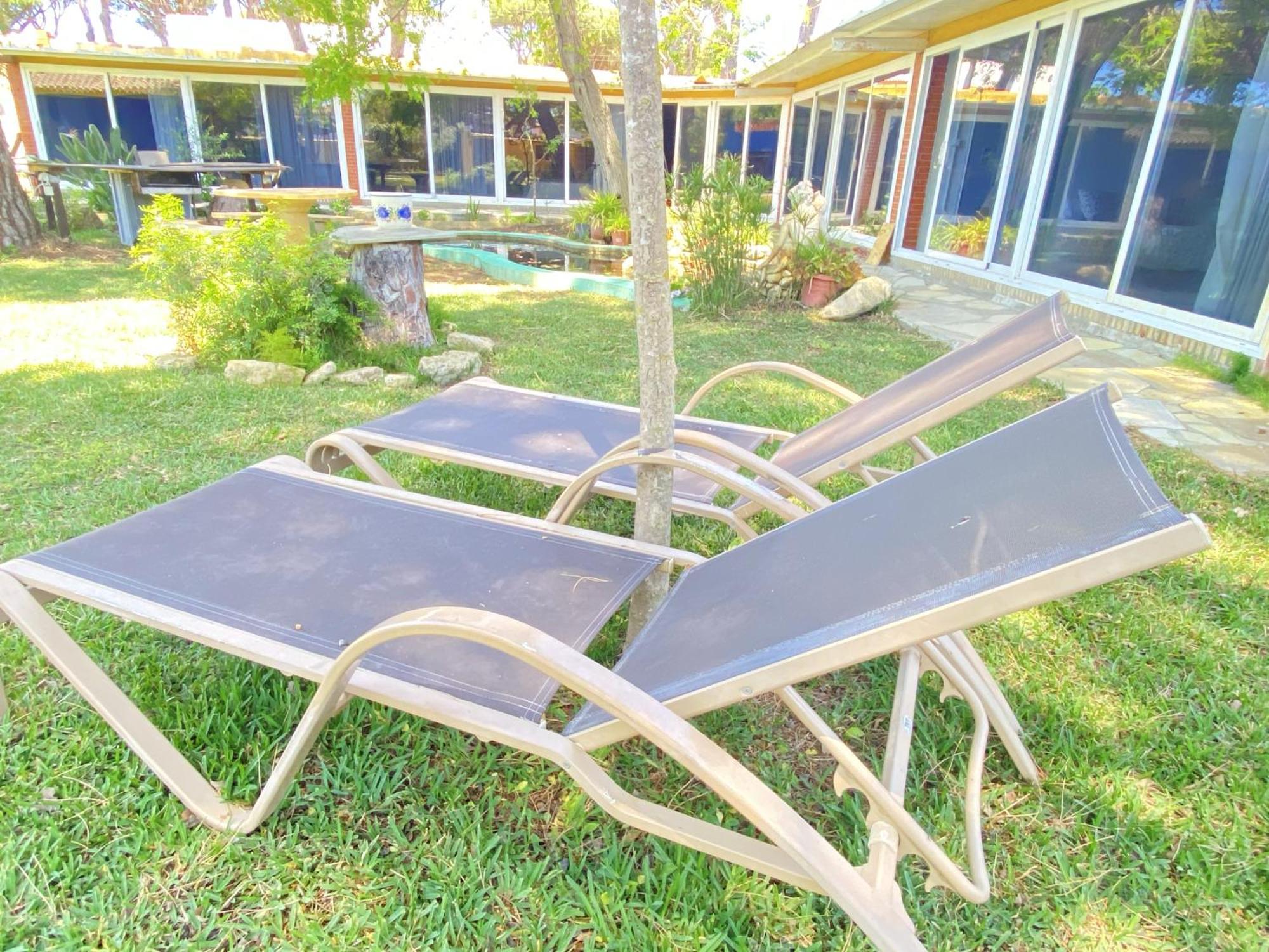 Jacaranda Homestay Cadiz