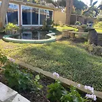 Jacaranda